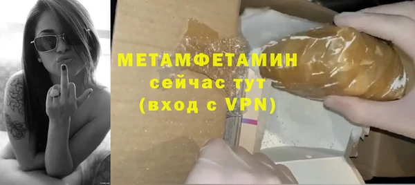 прущие грибы Володарск