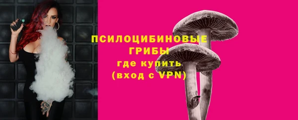 молекула духа Волоколамск