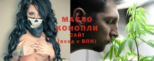 молекула духа Волоколамск